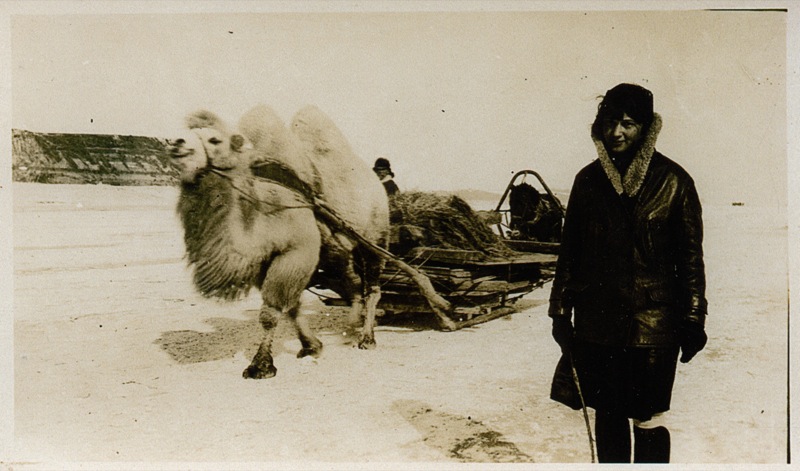 Woman and Bactrian Camel Date and Photographer Unknown