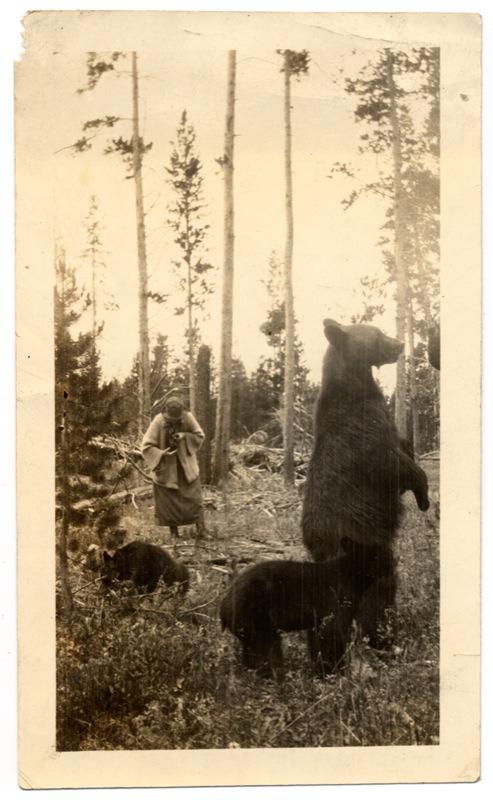 Old picture of a woman photographing bears
